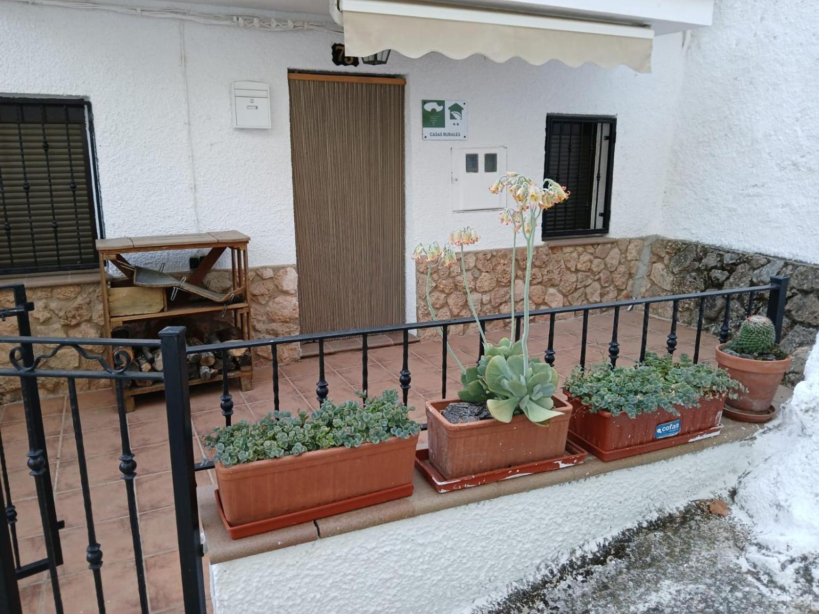 Casas Rurales Casa Noguera Riopar Ruang foto